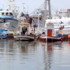 Cofradía de Pescadores de Santa Pola Cofradía de Pescadores de Santa Pola