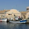 Cofradía de Pescadores de Torrevieja Cofradía de Pescadores de Torrevieja