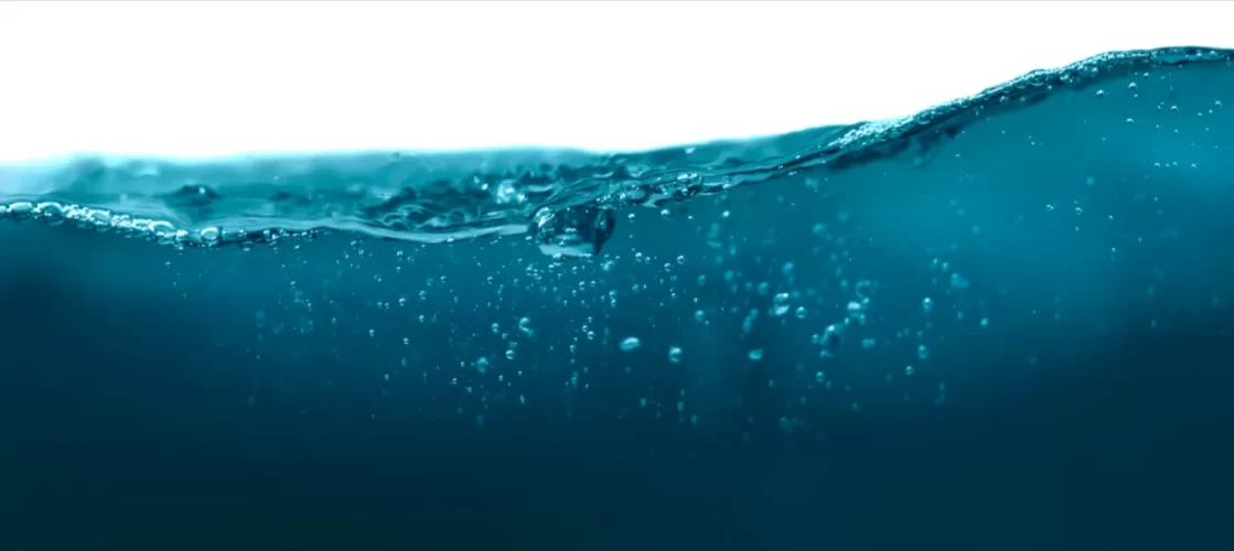 Proyecto: ABSORBEDOR DE IMPACTOS A PARTIR DE POSIDONIA OCEÁNICA PARA SU USO EN CARRETERAS Y VÍAS URBANAS Proyecto: ABSORBEDOR DE IMPACTOS A PARTIR DE POSIDONIA OCEÁNICA PARA SU USO EN CARRETERAS Y VÍAS URBANAS
