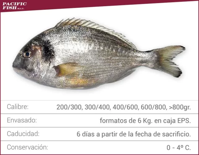 Pacific Fish s.l.u. Pacific Fish s.l.u.