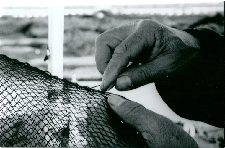 Cofradia de Pescadores de Burriana Cofradia de Pescadores de Burriana