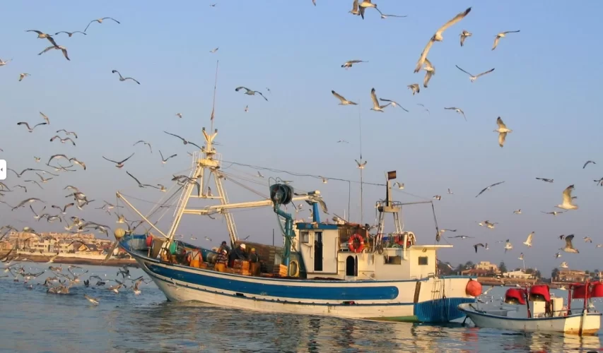 Cofradía de Pescadores de Torrevieja Cofradía de Pescadores de Torrevieja