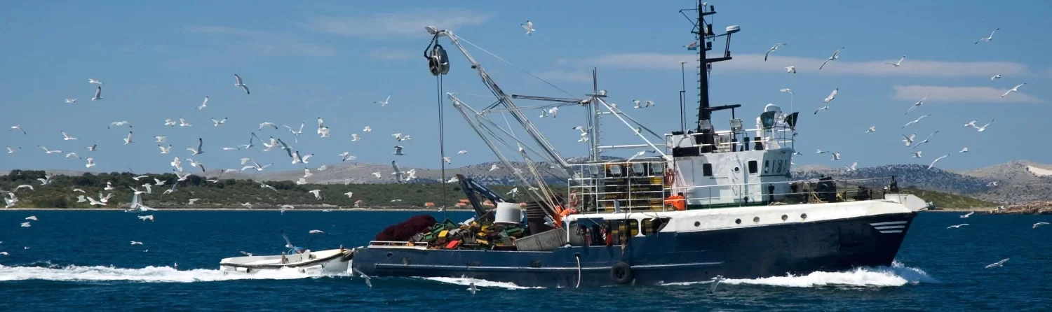Federación de Cofradías de Pescadores de Alicante Federación de Cofradías de Pescadores de Alicante