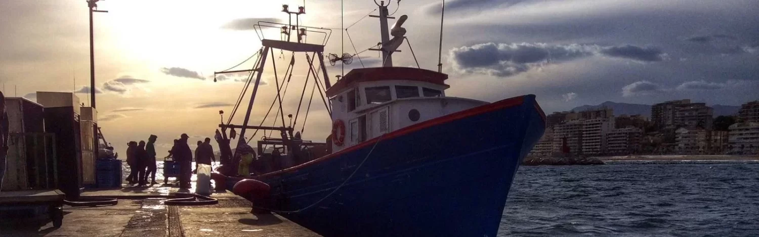 Cofradía de pescadores de Villajoyosa Cofradía de pescadores de Villajoyosa