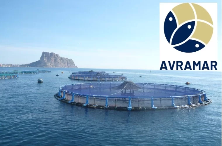 AVRAMAR SEAFOOD Valencia AVRAMAR SEAFOOD Valencia
